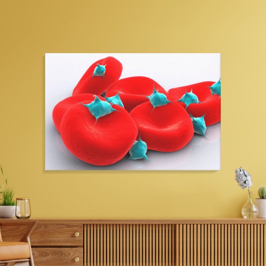 Bloedplaatjes met rode bloedcellen 1 canvas afdruk (Insitu (Woonkamer))
