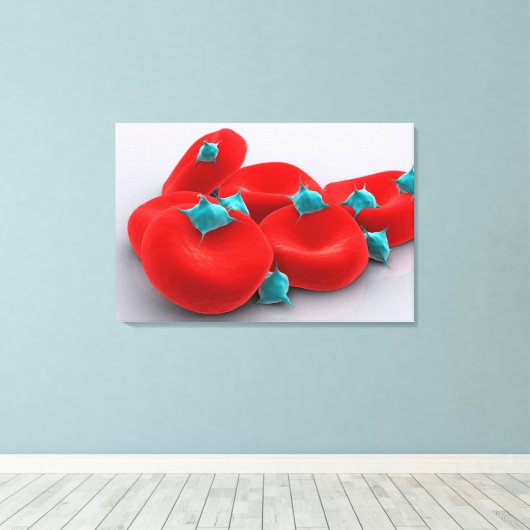 Bloedplaatjes met rode bloedcellen 1 canvas afdruk (Insitu (Houten vloer))