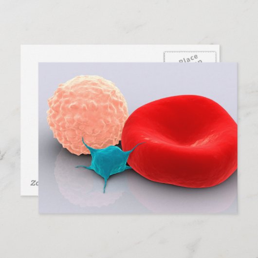 Bloedplaatjes, rode en witte bloedcellen briefkaart (Voorkant / Achterkant)