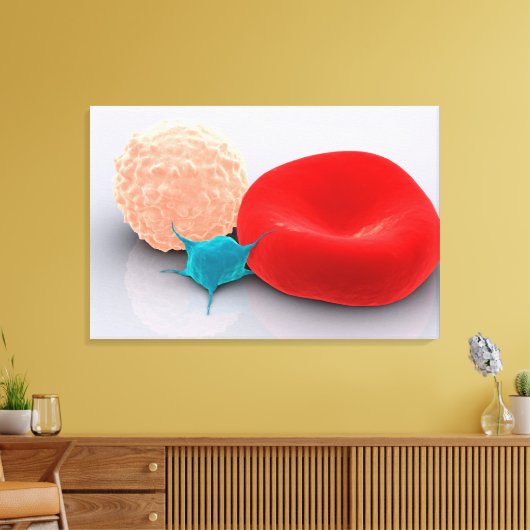 Bloedplaatjes, rode en witte bloedcellen canvas afdruk (Insitu (Woonkamer))
