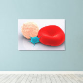 Bloedplaatjes, rode en witte bloedcellen canvas afdruk (Insitu (Houten vloer))