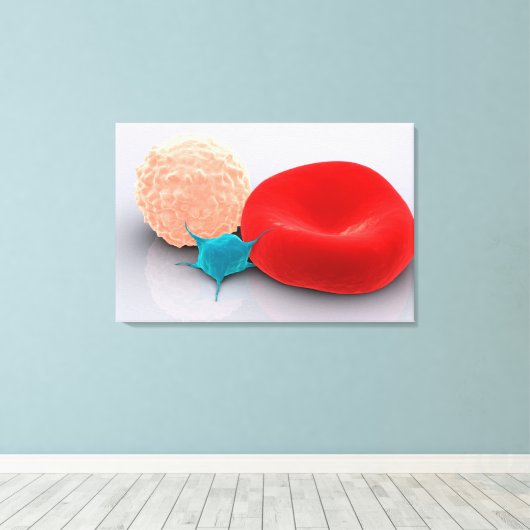 Bloedplaatjes, rode en witte bloedcellen canvas afdruk (Insitu (Houten vloer))