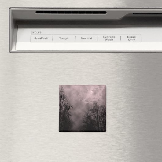 Bloedrode hemd met Ravens Magneet (Insitu (Vaatwasser))