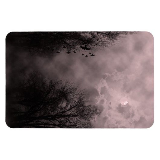 Bloedrode hemd met Ravens Magneet (Horizontaal)