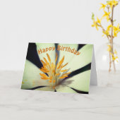 Bloedroetencentrum Birthday Kaart (Gele Bloem)