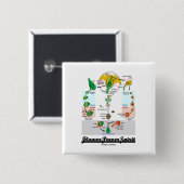 Bloedstroom (Angiosperm Life Cycle) Vierkante Button 5,1 Cm (Voorkant /achterkant)