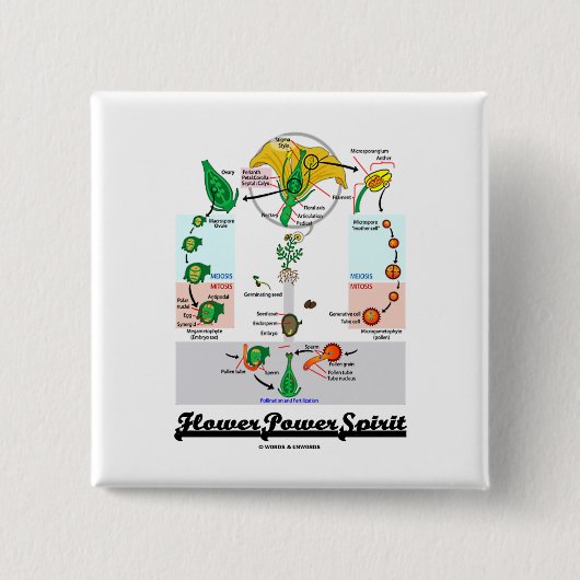 Bloedstroom (Angiosperm Life Cycle) Vierkante Button 5,1 Cm (Voorkant)