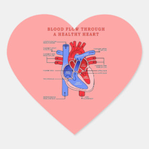 BLOEDSTROOM HART STICKER