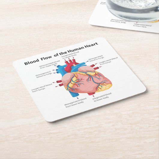 Bloedstroom van het menselijk hart kartonnen onderzetters (Schuin)