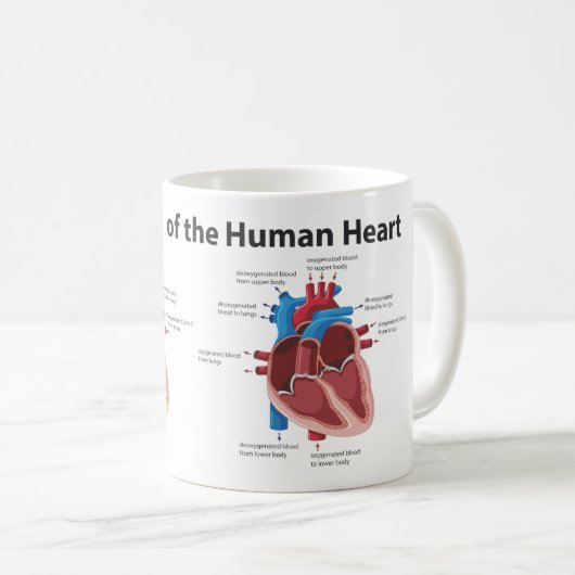 Bloedstroom van het menselijk hart koffiemok (Voorkant rechts)