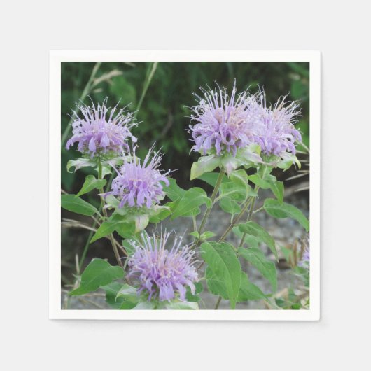 Bloedtuin 3 servet (Voorkant)