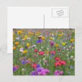 Bloedtuin Briefkaart (Voorkant / Achterkant)