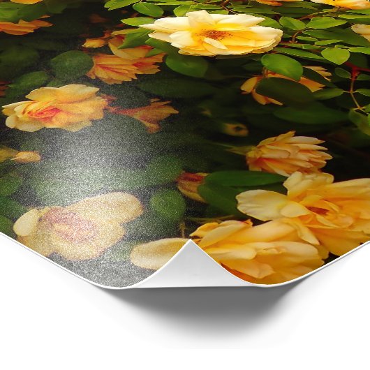 Bloedtuin Foto Afdruk (Hoek)