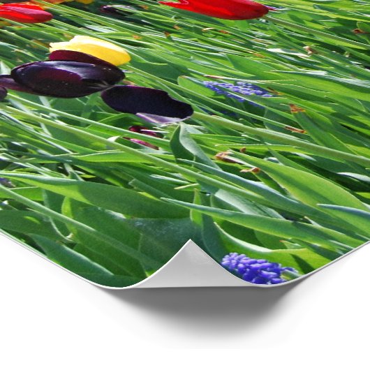 Bloedtuin Poster (Hoek)