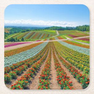 Bloedtuin   Shikisai No Oka Flower Boerderij Kartonnen Onderzetters