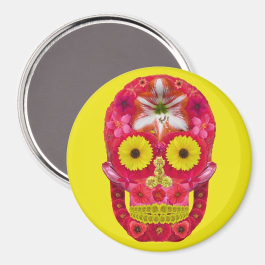 Bloedvat 6 magneet (Voorkant / Achterkant)