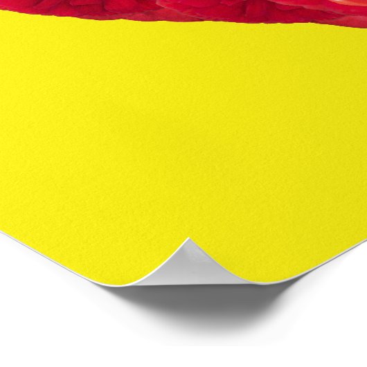 Bloedvat 6 poster (Hoek)