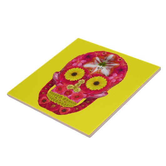 Bloedvat 6 tegeltje (Zijkant)