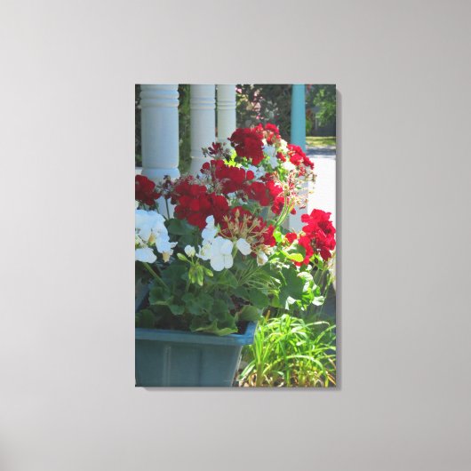 Bloedvat Geraniums - Martha's wijnwerf Canvas Afdruk (Voorkant)