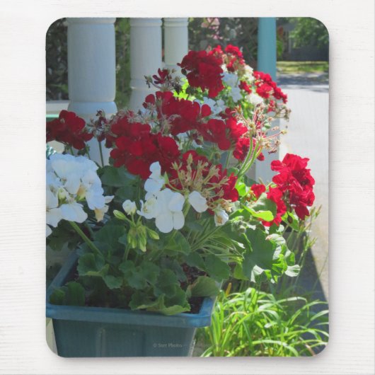 Bloedvat Geraniums - Martha's wijnwerf Muismat (Voorkant)
