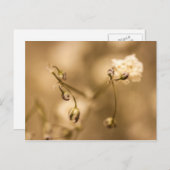 Bloedvat met Briefkaart met warme sepia (Voorkant / Achterkant)