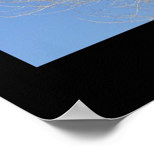 Bloedvat tegen blauwe hemel poster (Hoek)