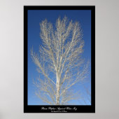 Bloedvat tegen blauwe hemel poster (Voorkant)