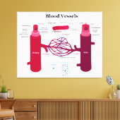 Bloedvataanstekers Veindediagram Canvas Afdruk (Insitu (Woonkamer))