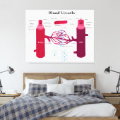 Bloedvataanstekers Veindediagram Canvas Afdruk (Insitu (Slaapkamer))