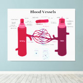 Bloedvataanstekers Veindediagram Canvas Afdruk (Insitu (Houten vloer))