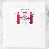 Bloedvataanstekers Veindediagram Rechthoekige Sticker (Tas)