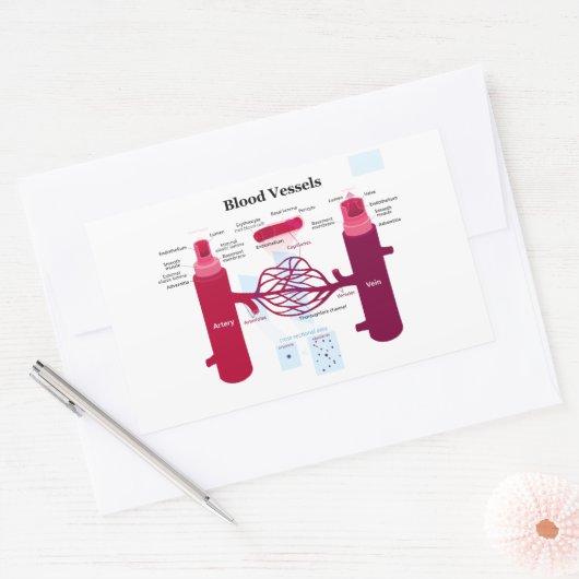 Bloedvataanstekers Veindediagram Rechthoekige Sticker (Envelop)