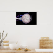 Bloedvaten van het oog poster (Keuken)