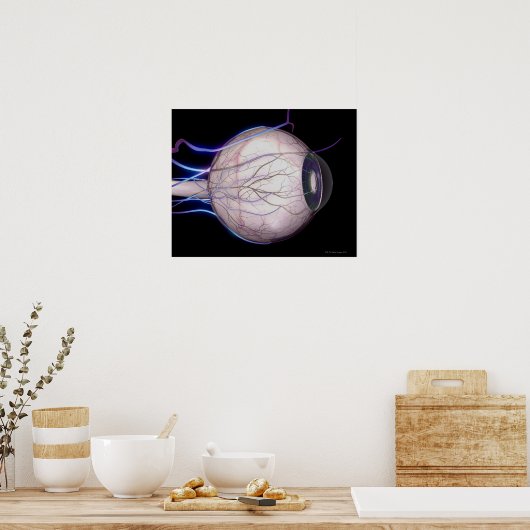 Bloedvaten van het oog poster (Keuken)