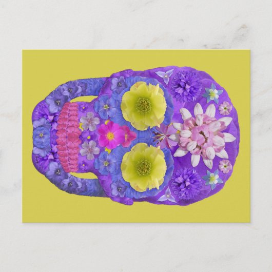 Bloedvatschedel 5 briefkaart (Voorkant)