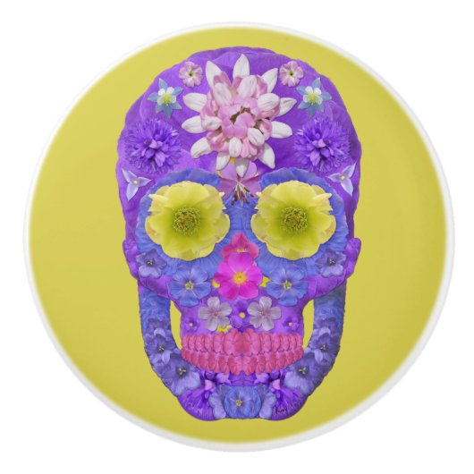 Bloedvatschedel 5 keramische knop (Voorkant)