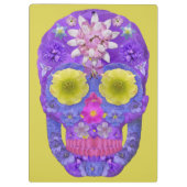 Bloedvatschedel 5 klembord (Achterkant)