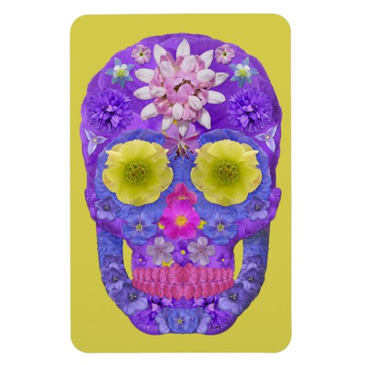 Bloedvatschedel 5 magneet (Verticaal)