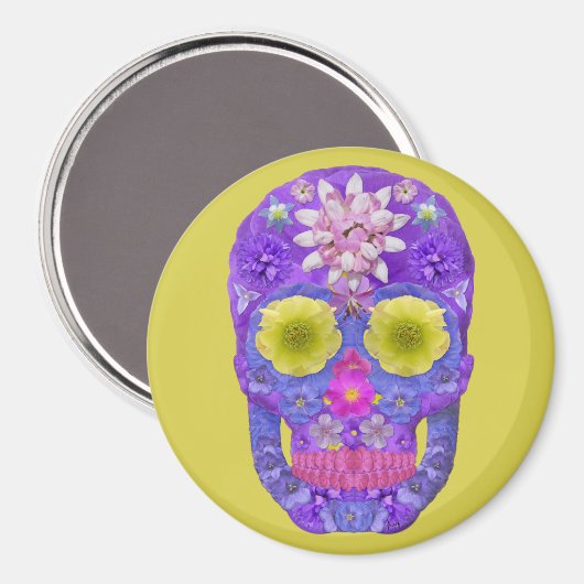 Bloedvatschedel 5 magneet (Voorkant / Achterkant)