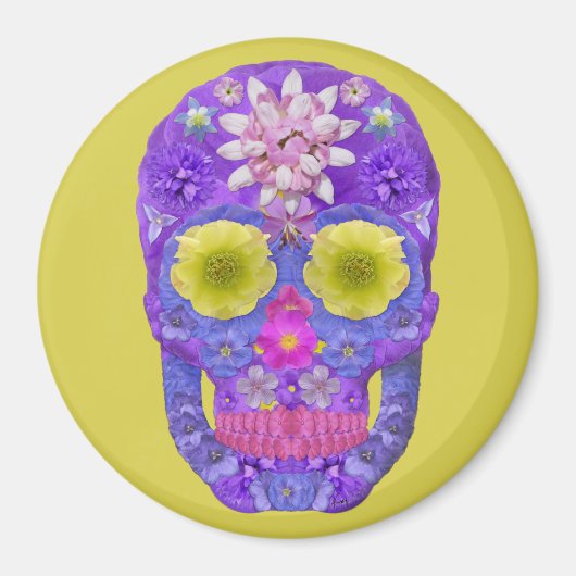 Bloedvatschedel 5 magneet (Voorkant)