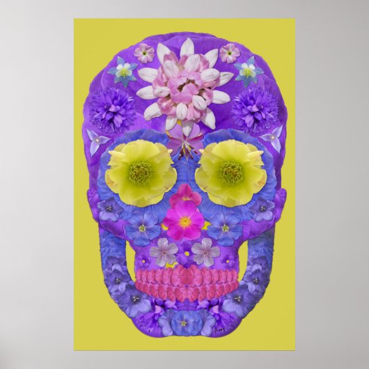 Bloedvatschedel 5 poster (Voorkant)