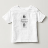 Bloedvatsysteem van de hersenen kinder shirts (Voorkant)