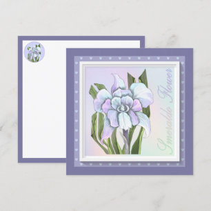 Bloedvlakke Kaart van Smeraldo