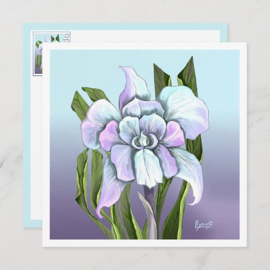 Bloedvlakke Kaart van Smeraldo (Voorkant / Achterkant)