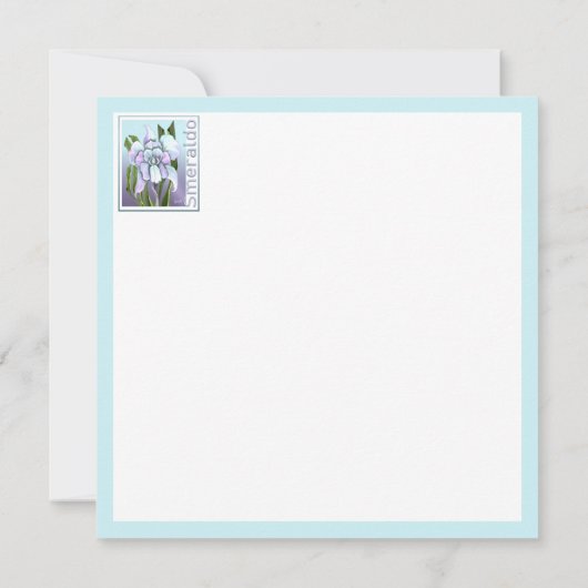 Bloedvlakke Kaart van Smeraldo (Achterkant)