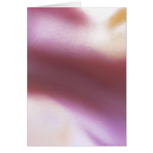 Bloedwolk (Voorkant)