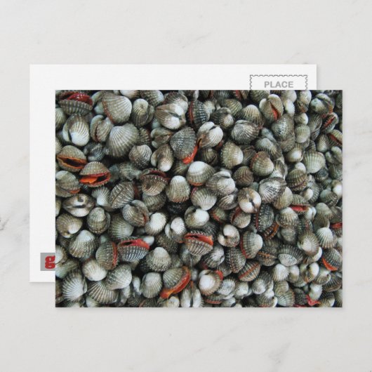 Bloedzuigdeksels Briefkaart (Voorkant / Achterkant)