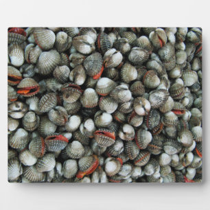 Bloedzuigdeksels Fotoplaat