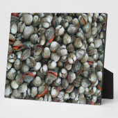 Bloedzuigdeksels Fotoplaat (Zijkant)