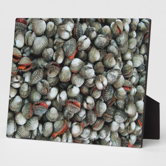 Bloedzuigdeksels Fotoplaat (Zijkant)